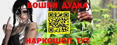 шишки Бийск