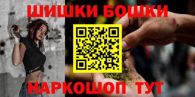 шишки Бийск