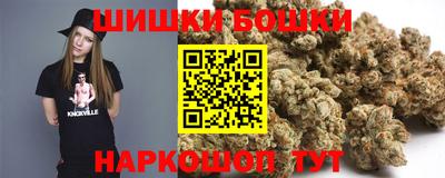 спиды Бийск