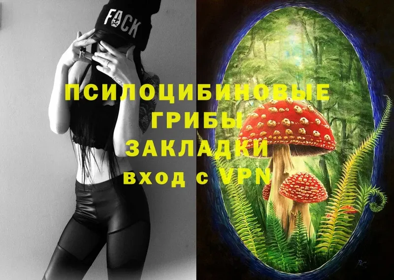 Псилоцибиновые грибы Psilocybe  Воткинск 