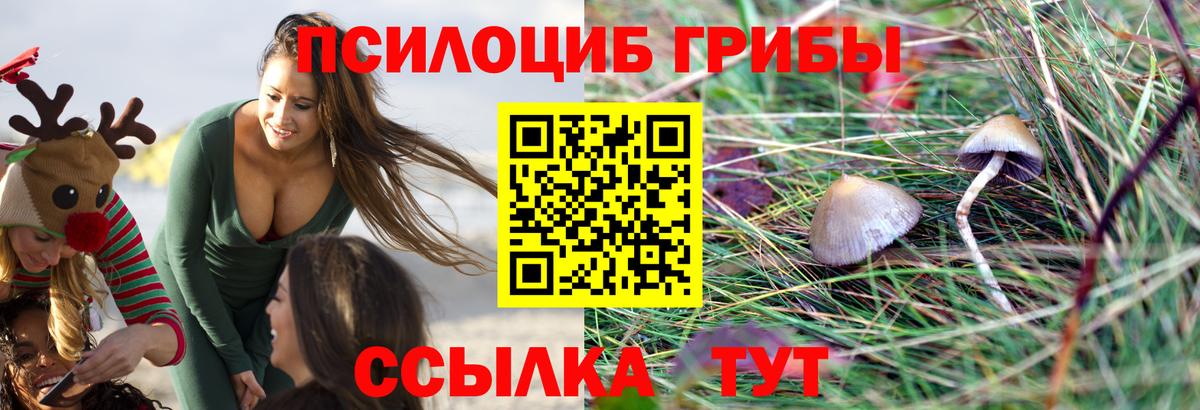 Псилоцибиновые грибы Psilocybe  Воткинск 