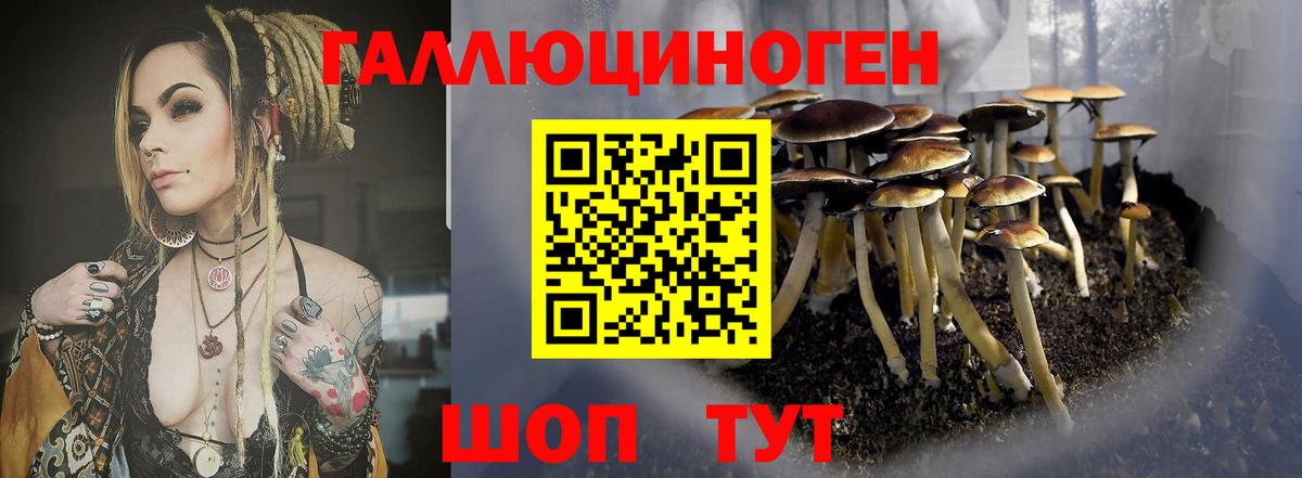Псилоцибиновые грибы MAGIC MUSHROOMS Воткинск