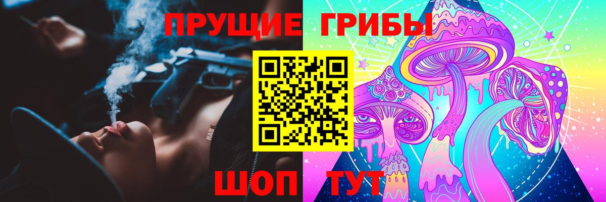 Псилоцибиновые грибы Psilocybe Воткинск