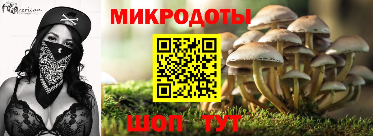 Псилоцибиновые грибы Cubensis  Вход с VPN  Воткинск  Галлюциногенные грибы Psilocybine cubensis 
